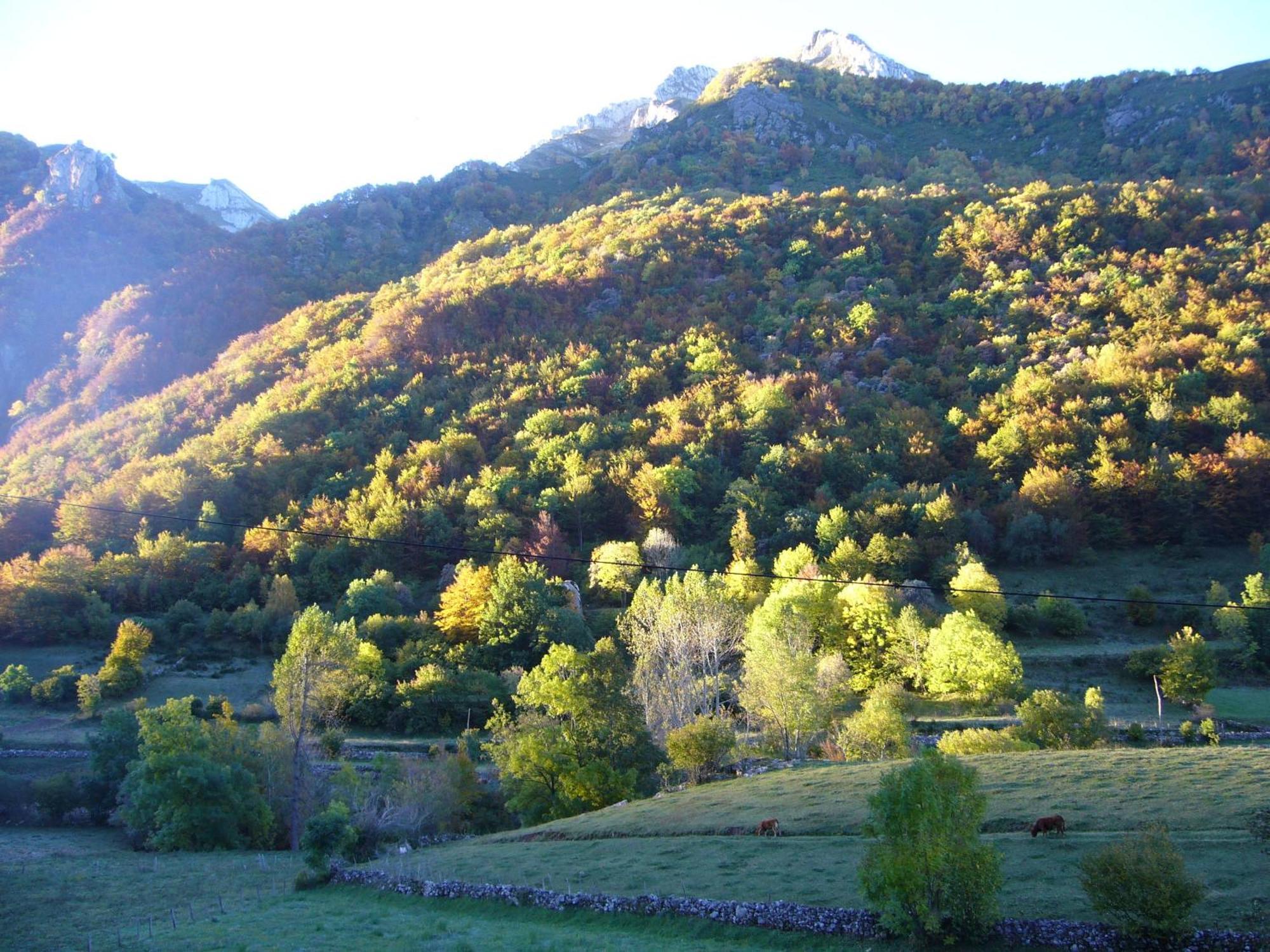 La Corona Del Auteiro Valle de Lago Luaran gambar
